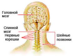 в шее защемило нерв