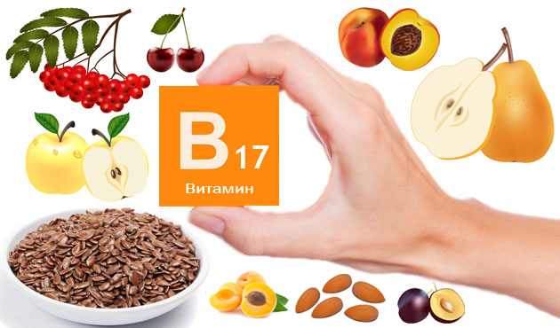 В каких продуктах содержится витамин В17 - В каких продуктах содержится витамин В