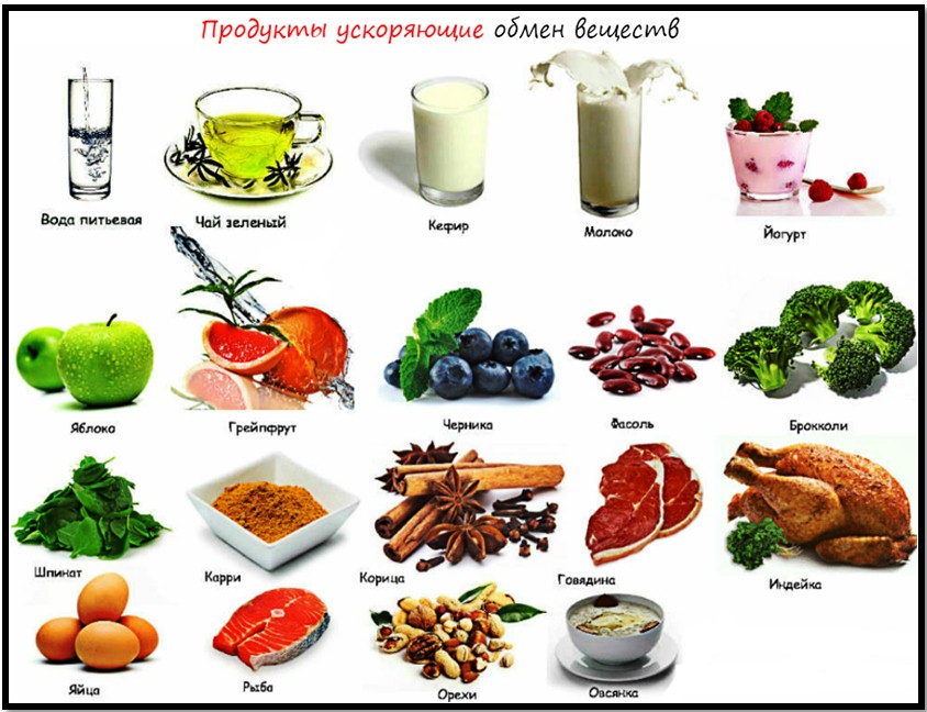 продукты повышающие обмен веществ