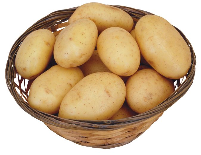 Картофель при геморрое