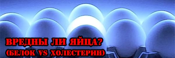 вредны ли яйца (яйца и холестерин)
