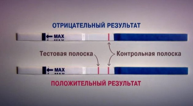 Делала тест одна полоска