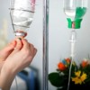 Как осуществляется вывод из запоя в клинике