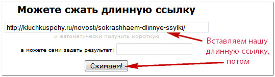 вставляем длинную ссылку