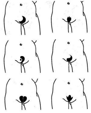 интимные стрижки фото