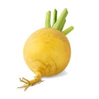 Репа, что это за продукт? чем он полезен?