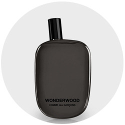Photo 7. Wonderwood (Comme des Garçons, 2010).jpg