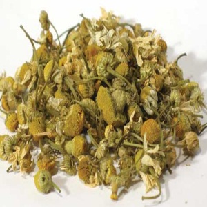 Chamomile Бессонница по ночам – что делать, если мучает бессонница?