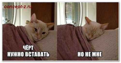 не умеешь вставать рано утром - научим!
