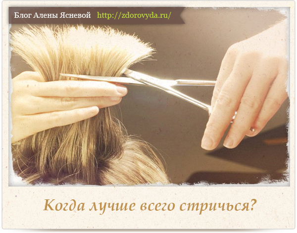 стрижка