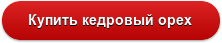 Чем полезны кедровые орешки