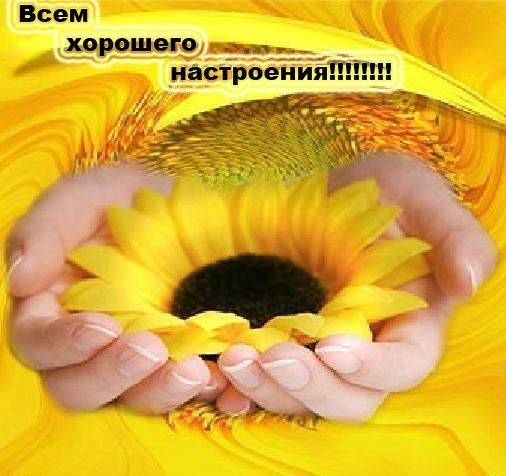 Как поднять настроение себе и другим помочь