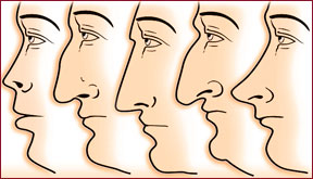 physiognomics2