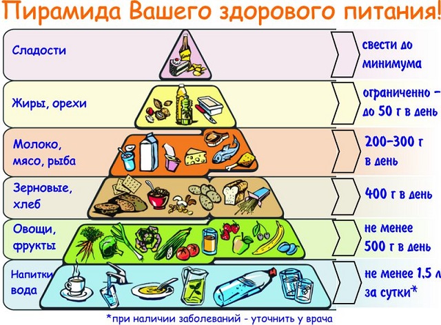 Несколько правил составления правильного рациона сбалансированного питания на день