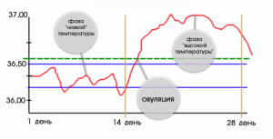 график базальной температуры