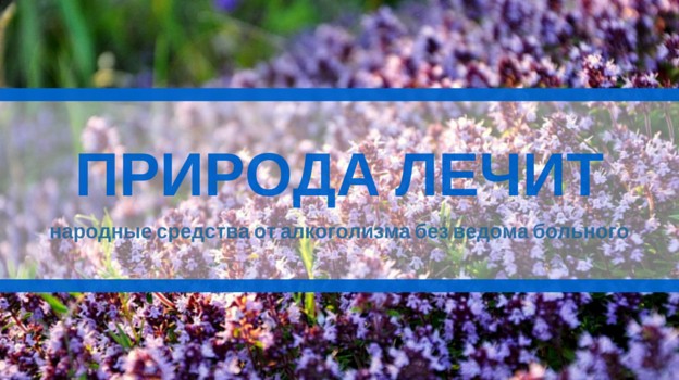 Народные методы лечения алкоголизма без ведома больного
