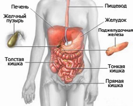 Внутренние органы, вызывающие боль справа внизу живота