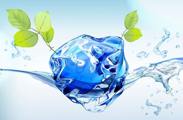 Капля воды и ветки