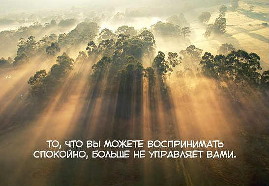 как избавиться от навязывающихся мыслей