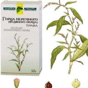Отвар водяного перца для остановки месячных