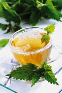 Отвар крапивы для остановки месячных