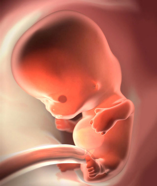 baby_week_8