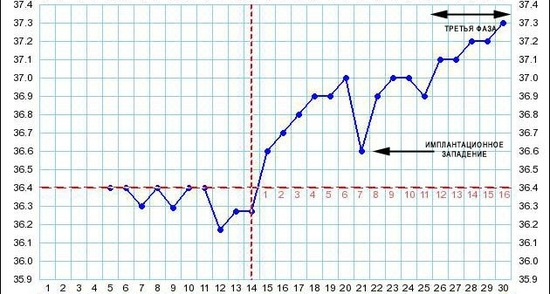 Способы определения беременности без теста