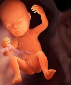 18 неделя беременности
