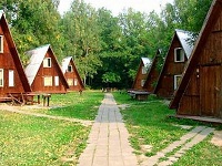 Куда поехать в Подмосковье?