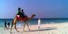 Отель IBIS AL BARSHA