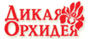 дикая орхидея