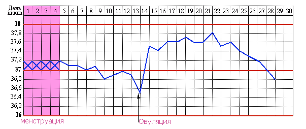 График овуляции скачать